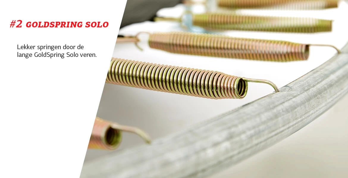 BERG Trampoline Regular Favorit 380 Green + Safety Net Comfort - Afbeelding 4