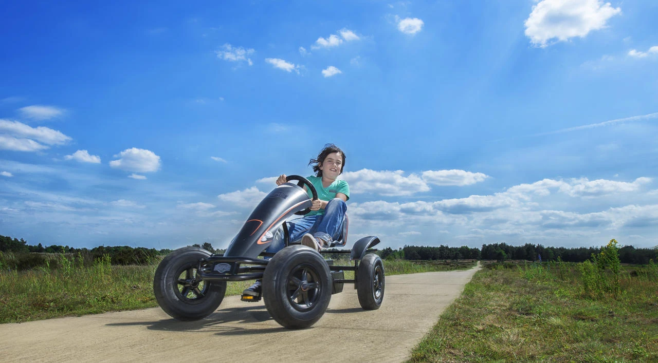 BERG Skelter XXL Black Edition E-BFR-3 - Afbeelding 9