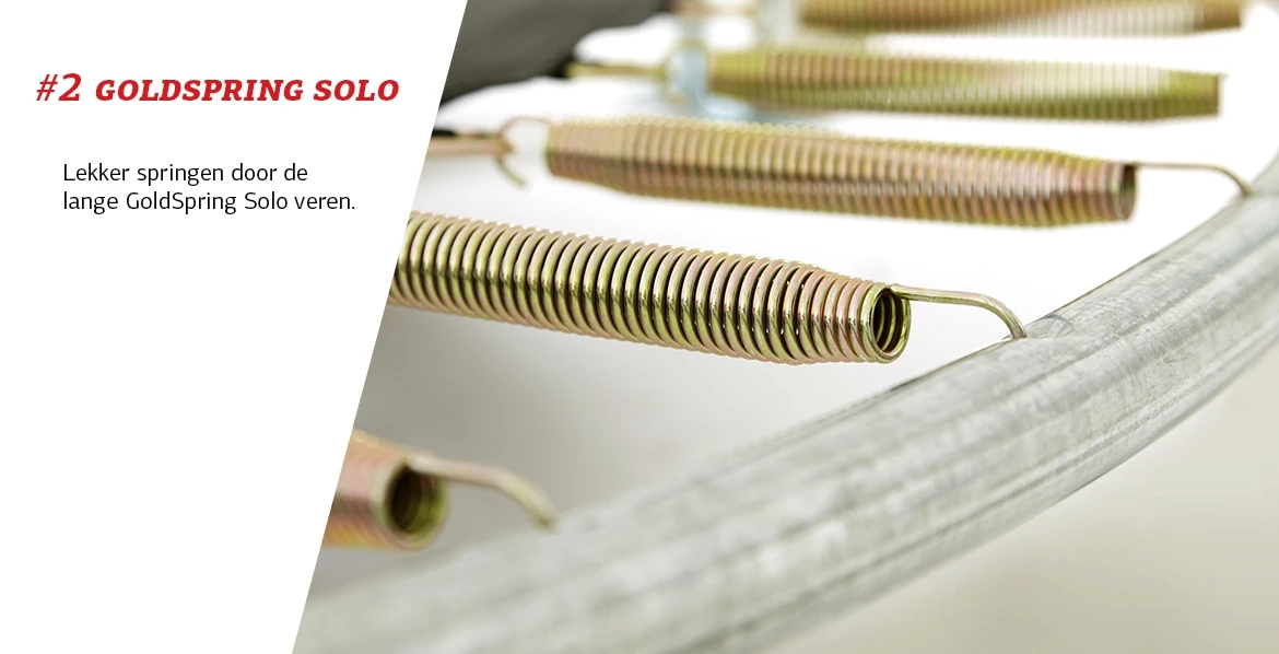 BERG Trampoline Inground Grand Favorit 520 Black + SafetyNet Comfort - Afbeelding 3