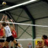 Volleybalnet Wedstrijdnet FIVB